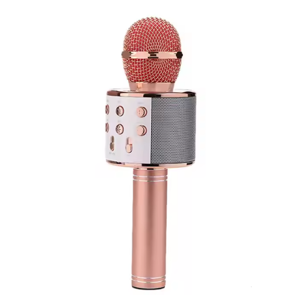 Microphone Sans Fil pour Enfants